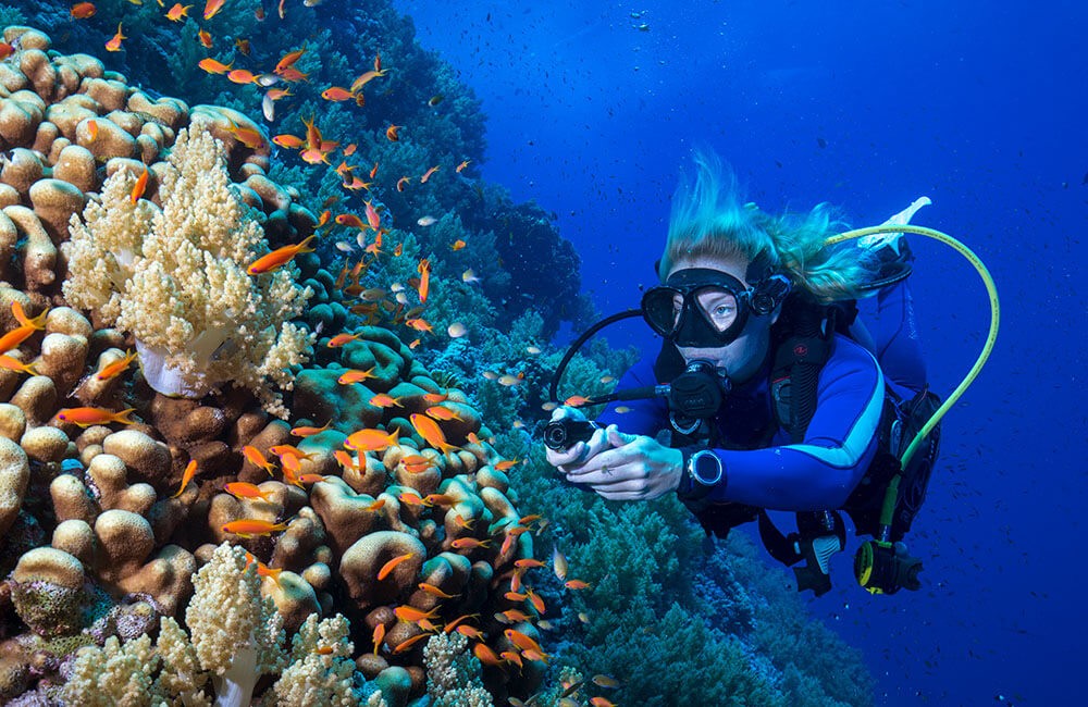 Caméra plongée : les modèles pour bien filmer sous l’eau